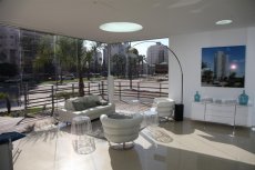 netanya-zalman-shazar (3)